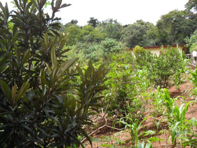 0 para Casas - Venda em Campos do Jordão